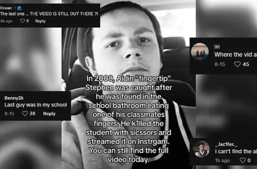 aidin-fingertip-stephen